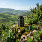 MORINGA