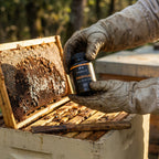 PROPOLIS