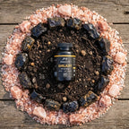SHILAJIT